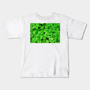 Lavender Farms Study 22 Kids T-Shirt